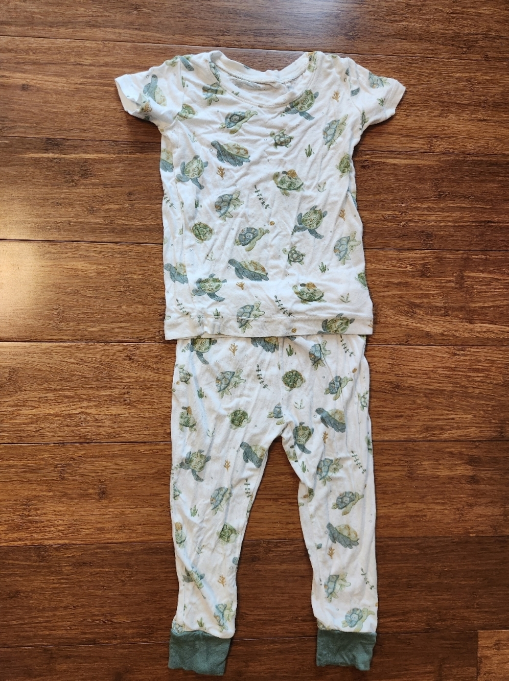 Angel Dear Kids Turtles Bamboo Viscose Short Sleeve Loungewear Set Pajamas 2t